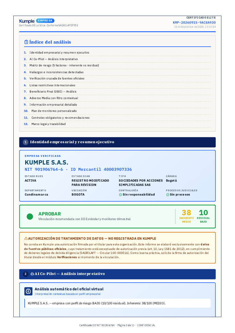 Página del informe de Kumple con hallazgos y datos registrales
